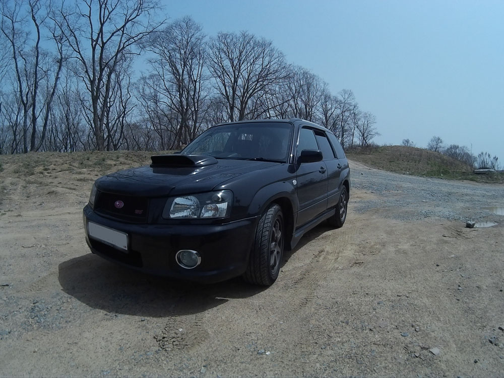 Subaru Forester Cross Sport — замеры на диностенде